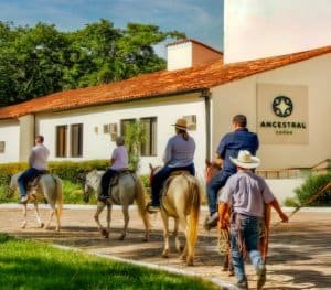 Rastrojón Horseback Riding Tour